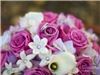 Sherri Johnson Photography