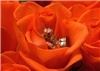 Creative Photography, Galveston