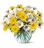 Chet's Flowers & Gift, Cheney
