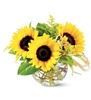 Chet's Flowers & Gift, Cheney