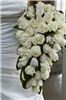 Elegantly Affordable Weddings, Charlotte — In addition to planning your dream wedding, we offer basic wedding floral design at an affordable price! Wedding flowers can be one of the most costly wedding budget items. Let our Floral Designers create an elegant arrangement of wedding bouquets, boutonnieres, corsages, table centerpieces, or altar arrangements to suit your individual style and budget. We offer wedding floral packages, custom packages, or we can create the individual items necessary to complete your wedding floral needs. We elegantly design your wedding flowers while keeping your budget in mind!