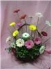 Flowers & Things, Raynham