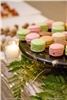 Pepper's Fine Foods Catering, Northborough — Petite sweets from our Pastry Chef