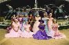 Entertainment Management  - Planner - Pensacola, Pensacola