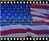 American Creative Film Productions, Raleigh