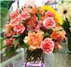 The Ivy Cottage Florist of Spring Hill, Spring Hill
