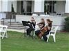 The String Group - Jacksonville, Jacksonville
