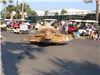 Fripp Island Golf & Beach Resort, Beaufort — 4th of July Golf Cart Parade