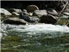 Spring Place Vacation & Culinary Oasis, Spring Place Vacation and Event Oasis, Errington — Take a stroll or picnic basket down the trail to Englishman River for a "splash" or to nearby Falls. Extremely relaxing and private.