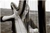 Masterful Musicians, Evergreen — Laura and her harp at an outdoor wedding.