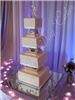 Perfect Day Cakes - Minneapolis, Minneapolis — This 4 Tier wedding Cake was a vanilla cake with white chocolate espresso mousse filling decorated with buttercream icing.