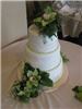 Perfect Day Cakes - Minneapolis, Minneapolis — This 3 tier wedding cake was the head tables and immediate family wedding cake.  All the other guests received cupcakes at their place setting.