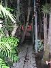 The Jungle, Trellis Floral Creations - Event Center, Los Angeles