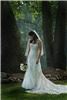 AJF Photography, Akron
