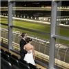 The Speedway Club at Charlotte Motor Speedway, Concord