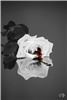 Click to see Profile