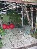 The Jungle, Trellis Floral Creations - Event Center, Los Angeles