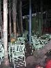 The Jungle, Trellis Floral Creations - Event Center, Los Angeles