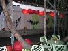 The Jungle, Trellis Floral Creations - Event Center, Los Angeles