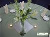 Christina's Catering ~ Parties by Design! - Malvern, Malvern