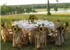 The Linen House, Houston — Country wedding uses burlap and linen overlays from The Linen House to add character to this beautiful setting.