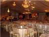 The Linen House, Houston — Tented wedding uses glamourous linens from The Linen House for a sophisticated flare!