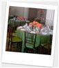 The Linen House, Houston — The Linen House provided fern taffeta chair cushions and tablecloths for this fresh orange and green wedding reception, May 2009 at the Corinthian, Houston, TX.