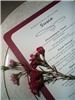 In The Pink Weddings & Events, Santa Monica