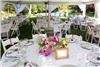 In The Pink Weddings & Events, Santa Monica