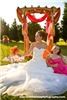 Castle of Paradise, Castle of Paradise, Griffin — Wedding Arch to decorate as you like