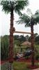 Castle of Paradise, Castle of Paradise, Griffin — Palm Tree Swing in Pool Area