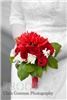 Click to see Profile