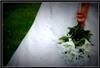 Careylynne Wedding Planning - Seattle, Seattle — With Careylynne Event planning services you are guaranteed to have your special day exactly the way you have always dreamed.  We are a full service event planning company located in Snohomish County. We believe you know best the way you want your wedding or event to go.  Careylynne is here to make sure that happens.  We specialize in maximizing the joy and minimizing the stress, whether you need us just on your special day or throughout the planning process.  Our goal is to make sure you and your loved ones enjoy an unforgettable time.  We make your dreams a reality It is our promise to you. With our knowledgeable staff guarantee that your Wedding experience with Careylynne Weddings is a memorable one.
Please contact us to schedule your complimentary consultation so we can start planning 
Careylynne!