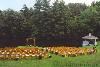 Twin Lakes Resort, Hurley