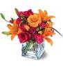 Maidas Floral Shop Incorporated, Oswego