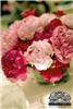 Celsia Florist, Vancouver