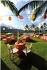 Dream Weddings and Honeymoons, Inc., Jacksonville