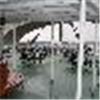 Delta Queen Hotel, Chattanooga — Outdoor venue on the bow of the boat.  Surrounded by water and gorgeous views from every direction. Breathtaking