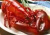 Catering Unlimited - Wolfville, Wolfville — Nova Scotia lobster!!!