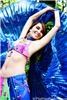 Belly Dance By Leyla, Manassas