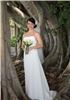 Poz's Pictures, West Palm Beach