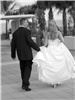 Poz's Pictures, West Palm Beach