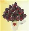 Edible Arrangements, Jacksonville