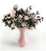 Click to see Profile