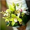 Wedding | Blush LLC, Fairfax