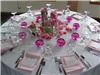 weddings by jordi - Saint Augustine, Saint Augustine