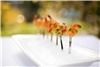 Feast Catering Co., Spokane — seared prawns on mini fork