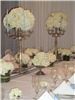 RSVParties, Inc, Naples — Antique candelabras accent the table with white Hydrangeas