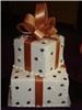 RSVParties, Inc, Naples — Two tier butter cream cake with bow in custom colors