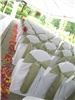 DM Wedding Rentals - Chair Covers and Sashes, Seattle
